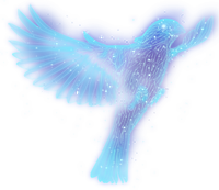 商品拍摄与图片处理